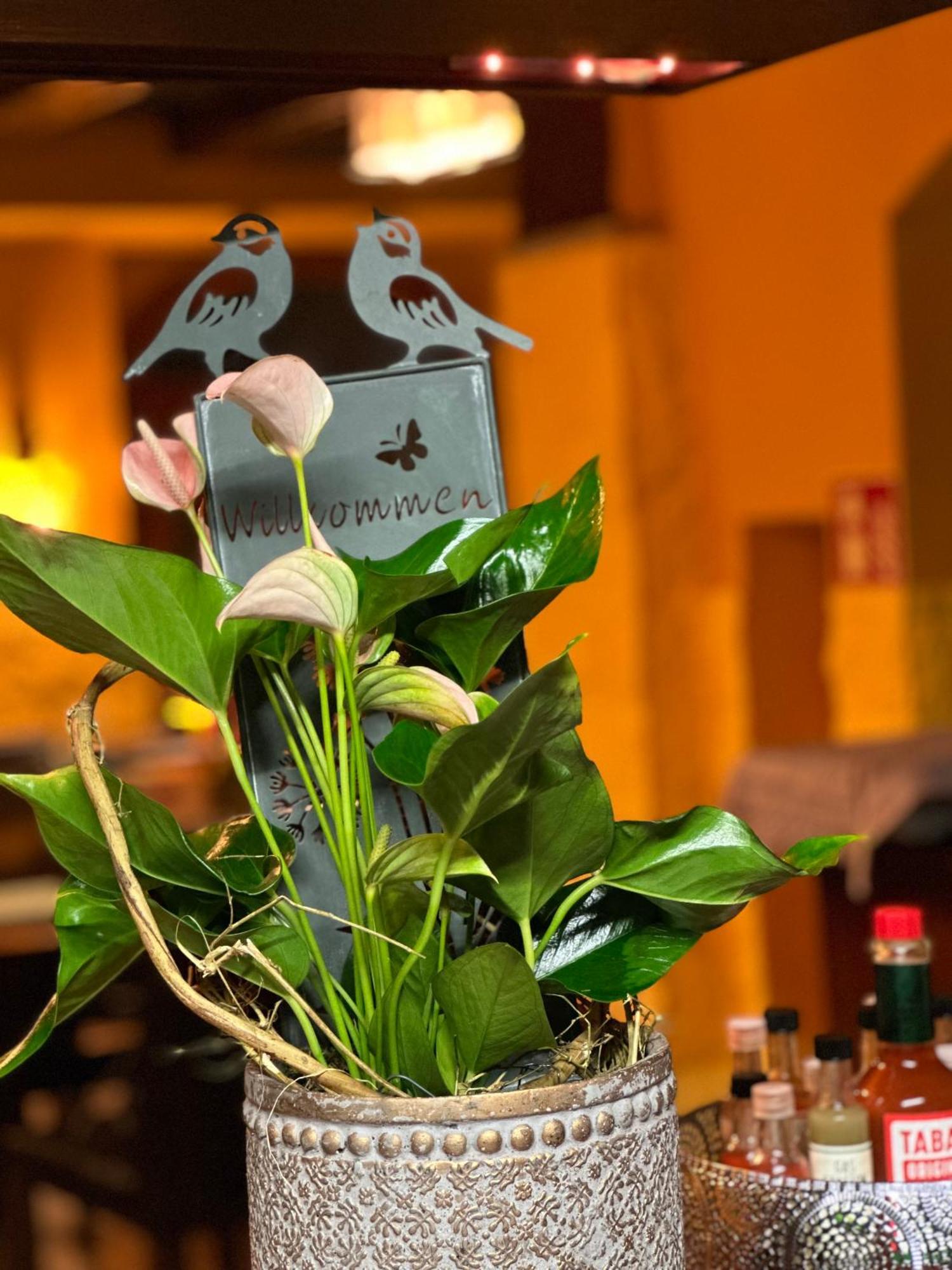 Gasthof Hasen Grill Masters Geislingen Dış mekan fotoğraf